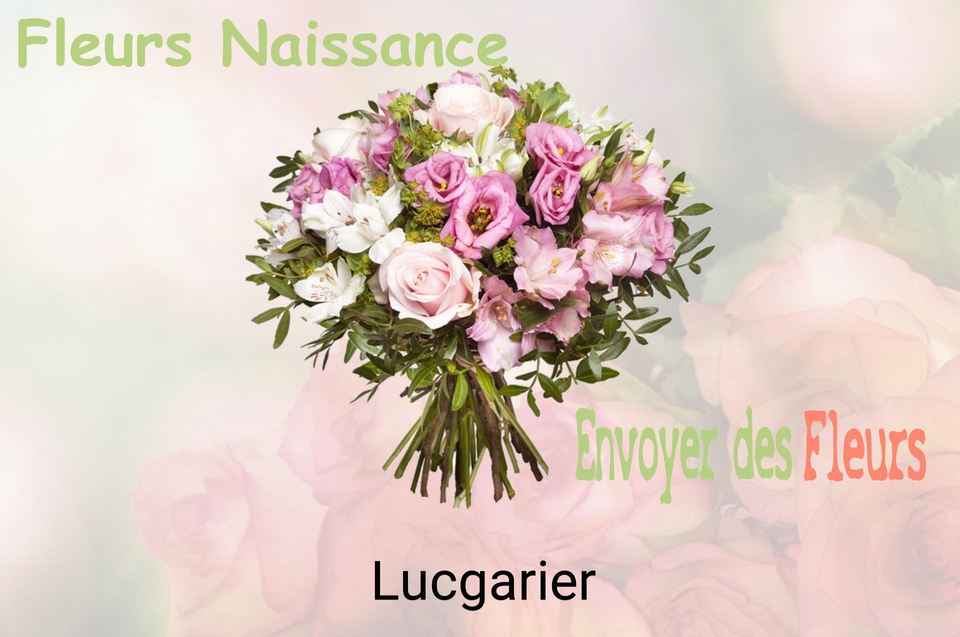 Bouquet de fleurs de naissance livré à Lucgarier