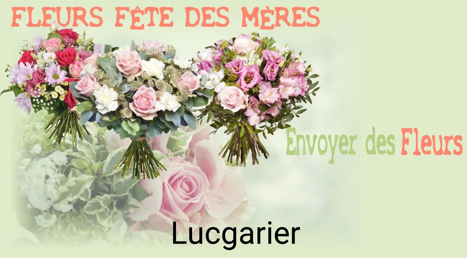 Bouquet de Fête des Mères livré à Lucgarier